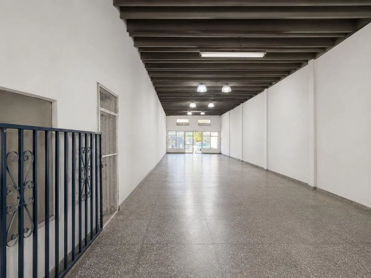 GALPON, MAS SALON Y UN DEPARTAMENTO 4 HABITACIONES 8