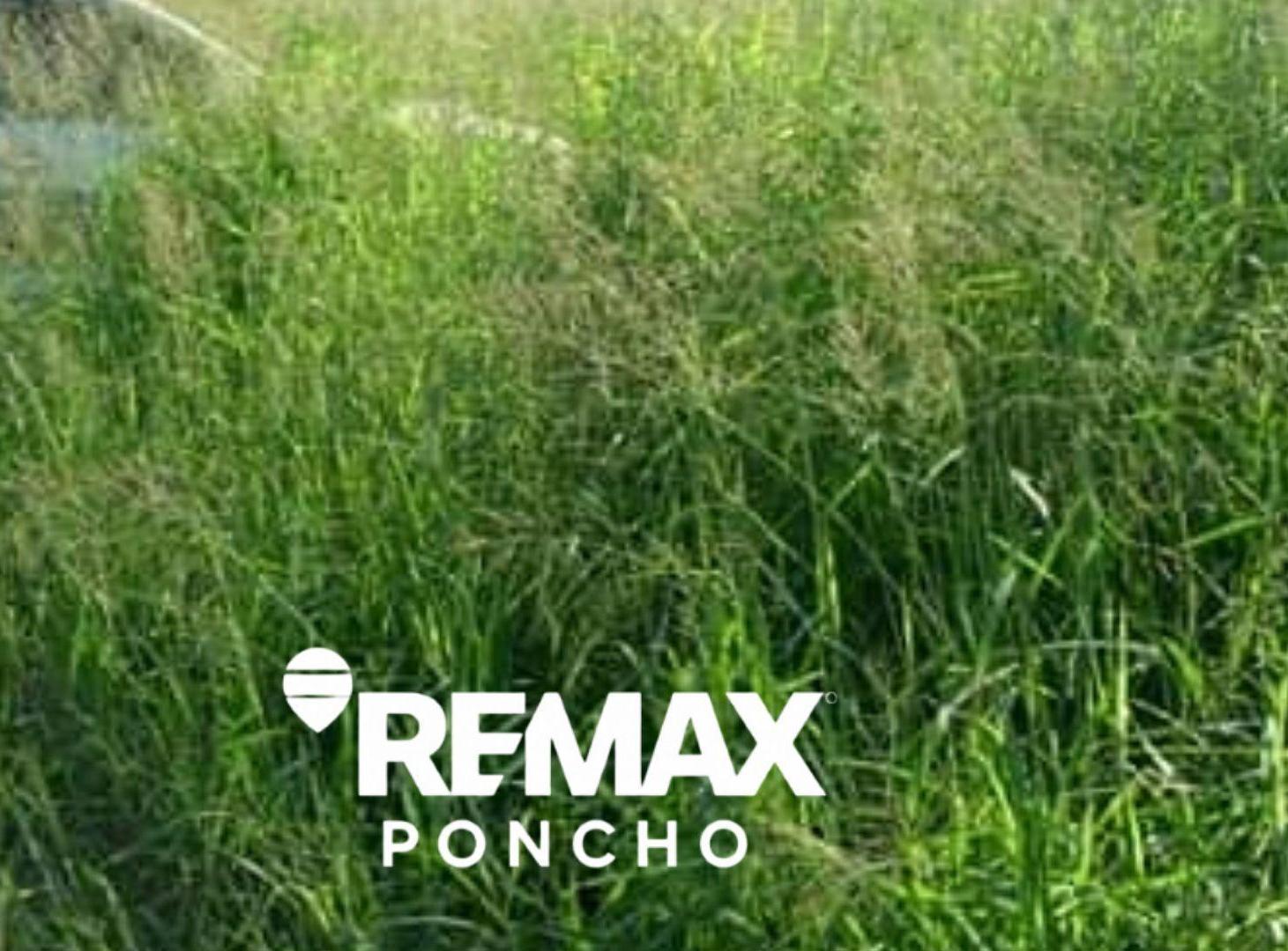 Foto de SE VENDECAMPO OPORTUNIDAD 5.940HA LA PAZ CATAMARCA, imagen 5