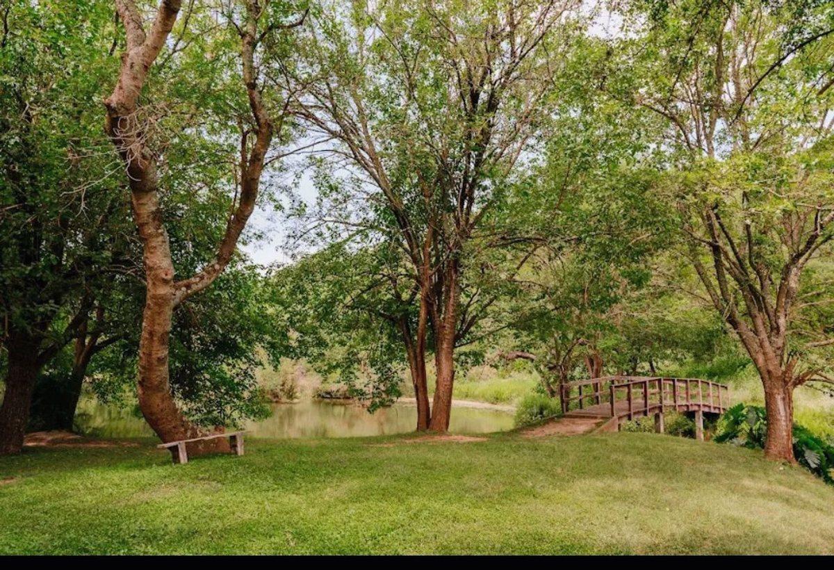 Foto de SE VENDEN LOTES EN PACLÍN. FACILIDADES. PERMUTA, imagen 4