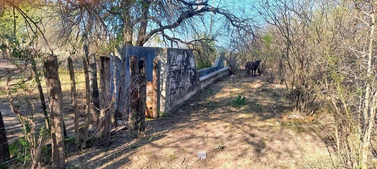 Foto de SE VENDE CAMPO DE 500 HAS EN DPTO LA PAZ CATAMARCA, imagen 3