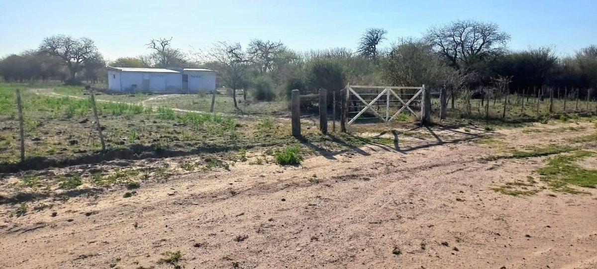 Foto de SE VENDE CAMPO DE 500 HAS EN DPTO LA PAZ CATAMARCA, imagen 5