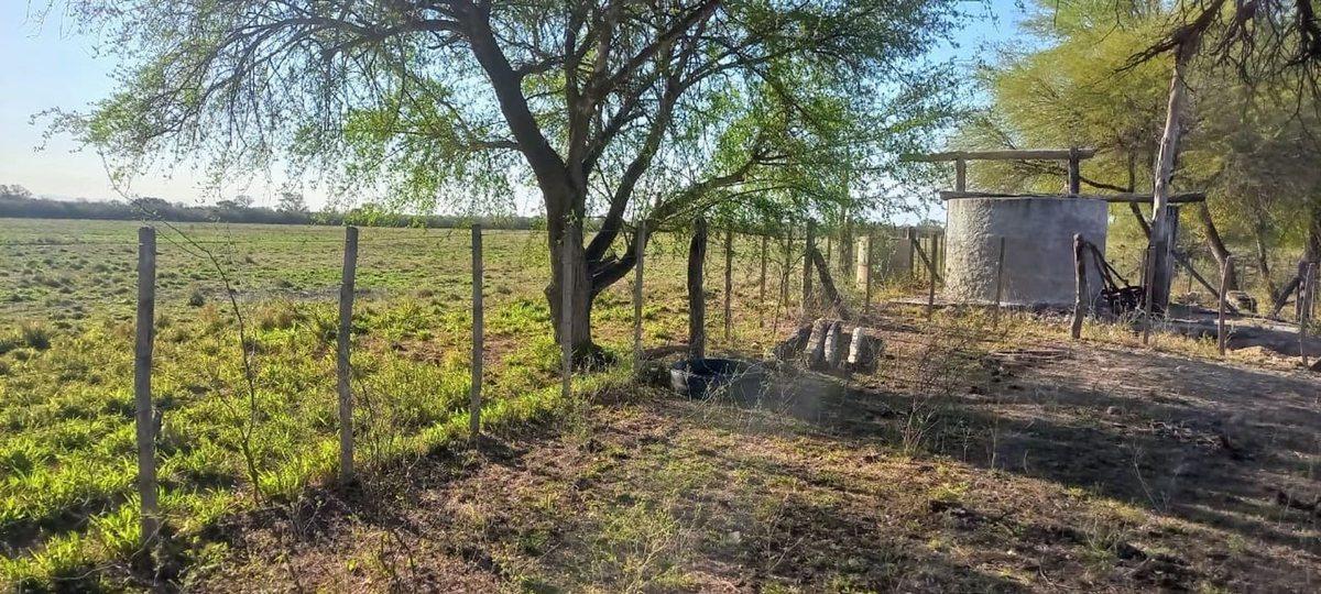 Foto de SE VENDE CAMPO DE 500 HAS EN DPTO LA PAZ CATAMARCA, imagen 4
