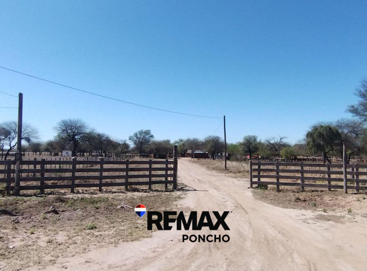 Foto de SE VENDE CAMPO DE 500 HAS EN DPTO LA PAZ CATAMARCA, imagen 2