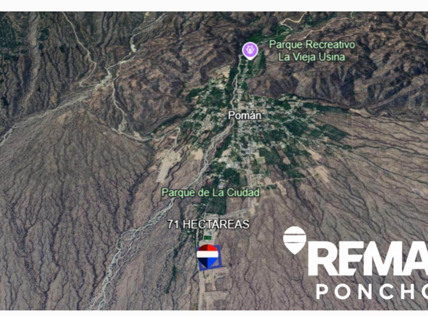Foto de VENTA CAMPO INGRESO A VILLA POMAN RUTA 25, imagen 4