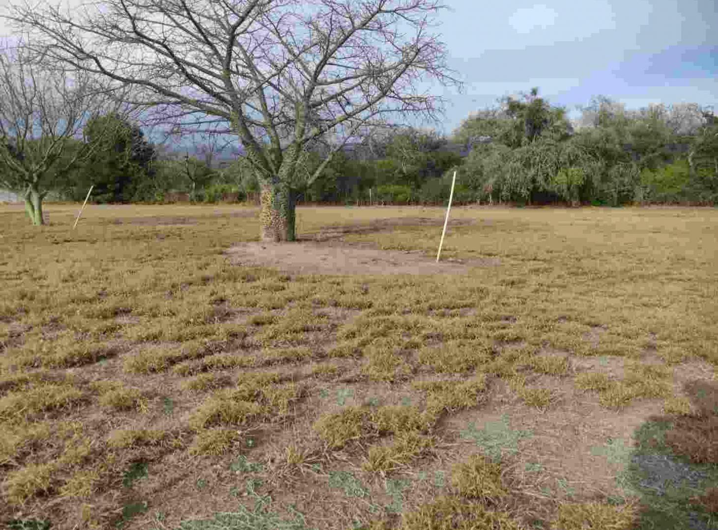 Foto de Terreno En Venta Nivelado En Santa Rosa Valle Viej, imagen 4