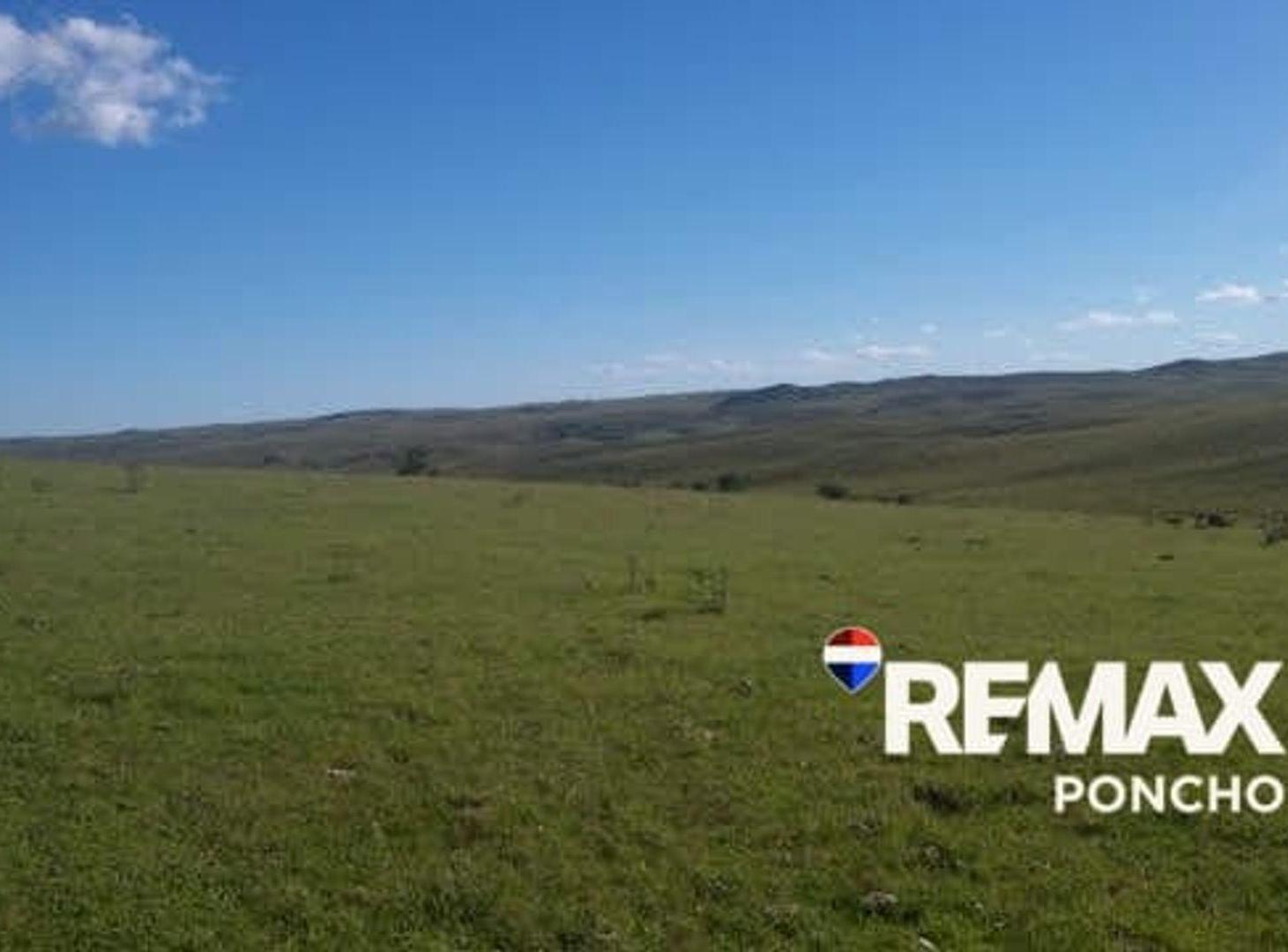 Foto de Vend0 Campo Productivo Agricultura y Ganadería, imagen 4
