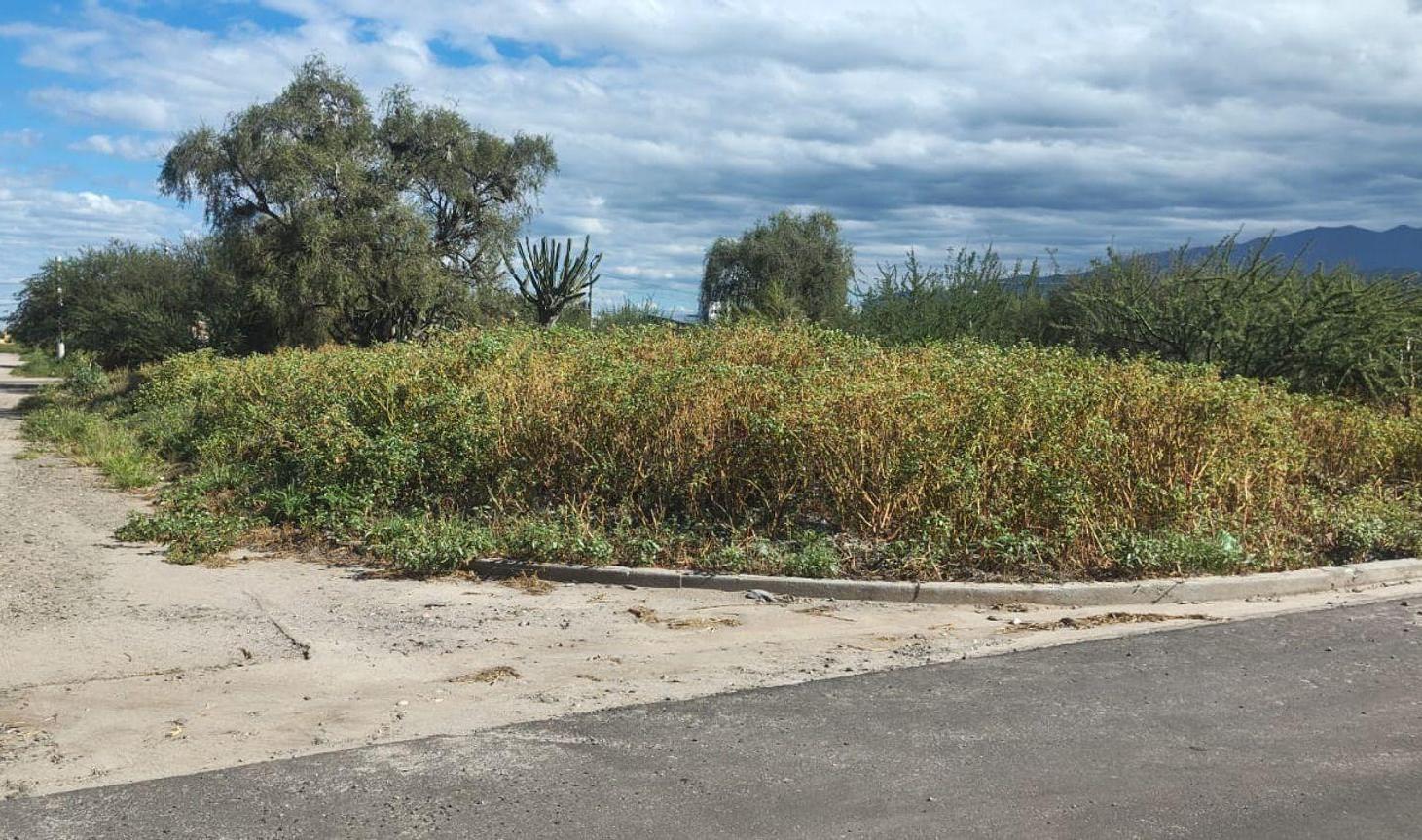 Foto de SE VENDE LOTE 250M2 ZONA NORTE CAPITAL CATAMARCA, imagen 4