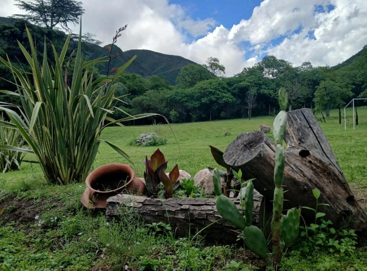 Foto de SE VENDE CASA CON TERRENO DE 60.000m2 FACILIDADES, imagen 3