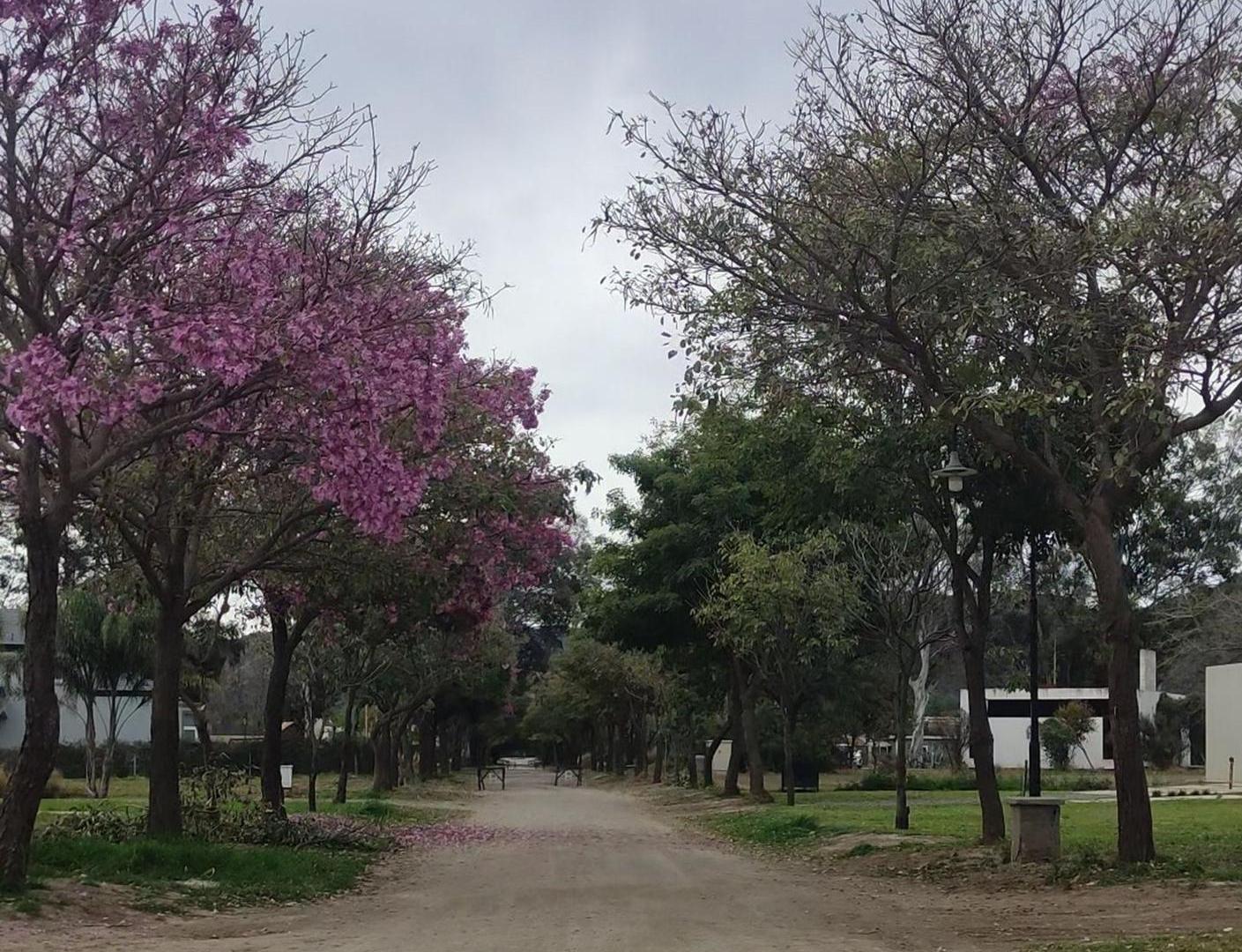 Foto de Terreno en Venta Country chacras de valle nuevo, imagen 5