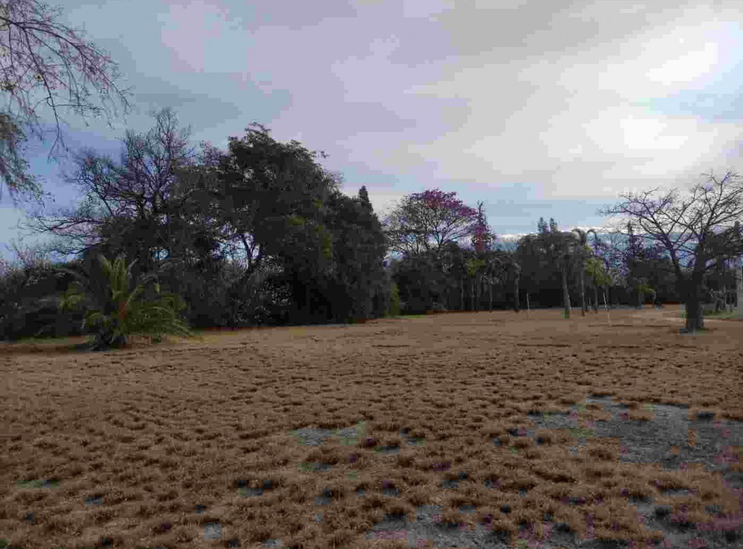 Foto de Terreno En Venta Nivelado En Santa Rosa Valle Viej, imagen 1