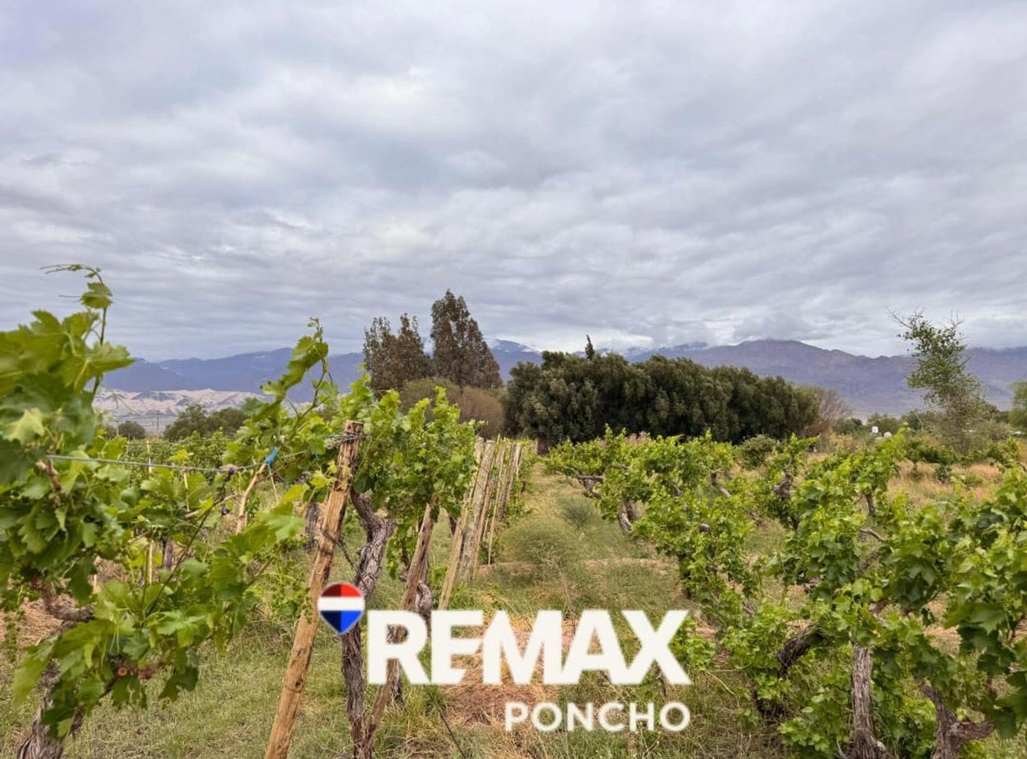 SE VENDE TERRENO EN FIAMBALA TINOGASTA