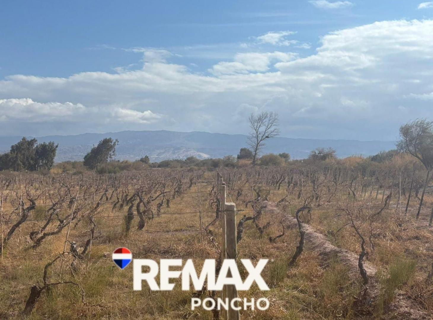 Foto de SE VENDE TERRENO EN FIAMBALA TINOGASTA, imagen 2