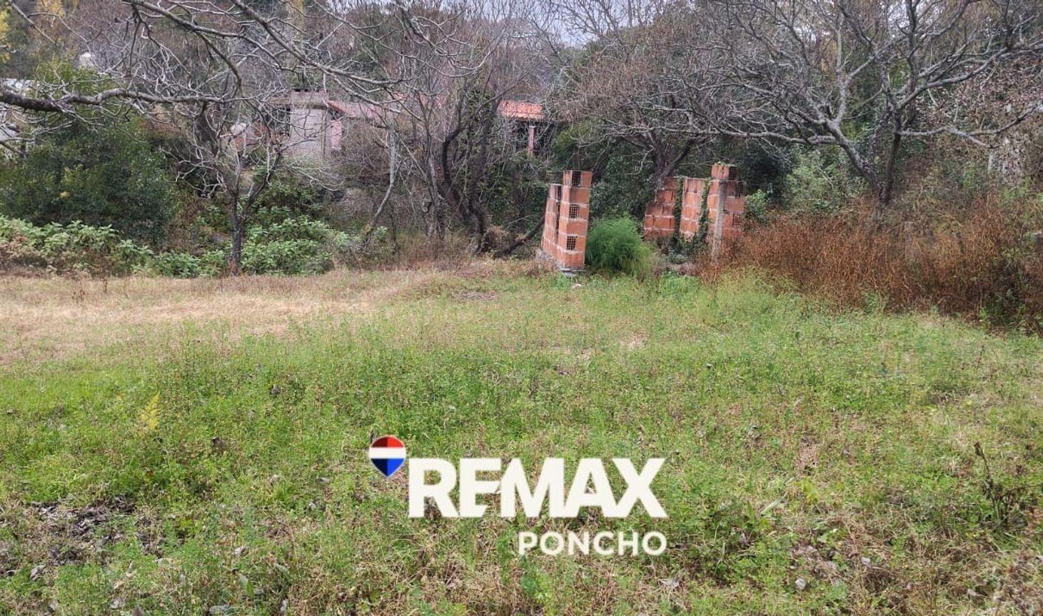 Foto de LOTE DE 2.212 M² AMBATO EL RODEO CATAMARCA, imagen 5