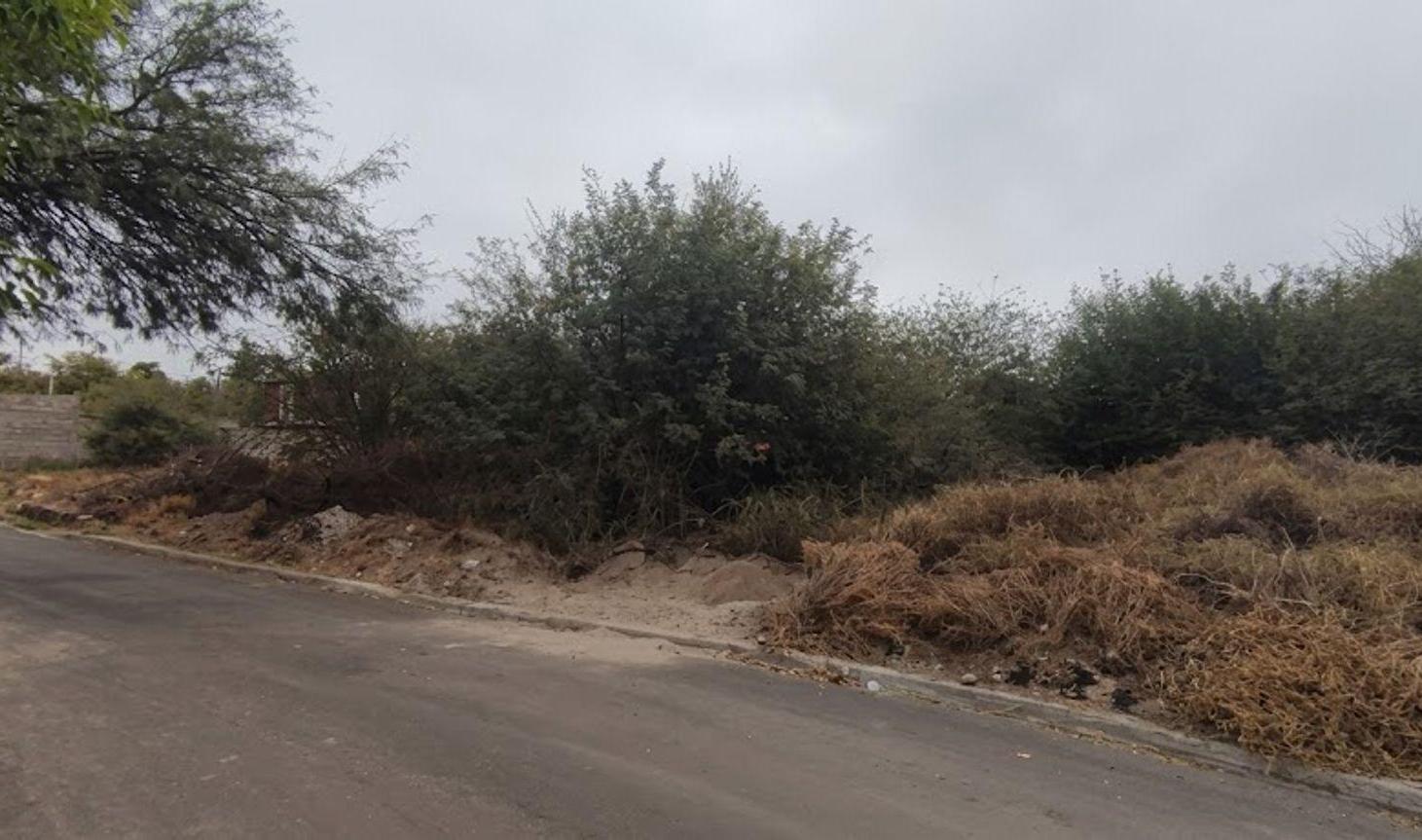 Foto de Terreno En Venta En Zona Oeste C/ Titulo Perfecto, imagen 5
