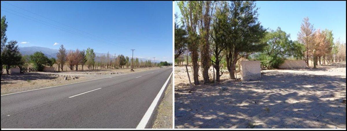 Foto de SE VENDE CAMPO EN STA MARÍA, 357 HAS. FACILIDADES, imagen 5