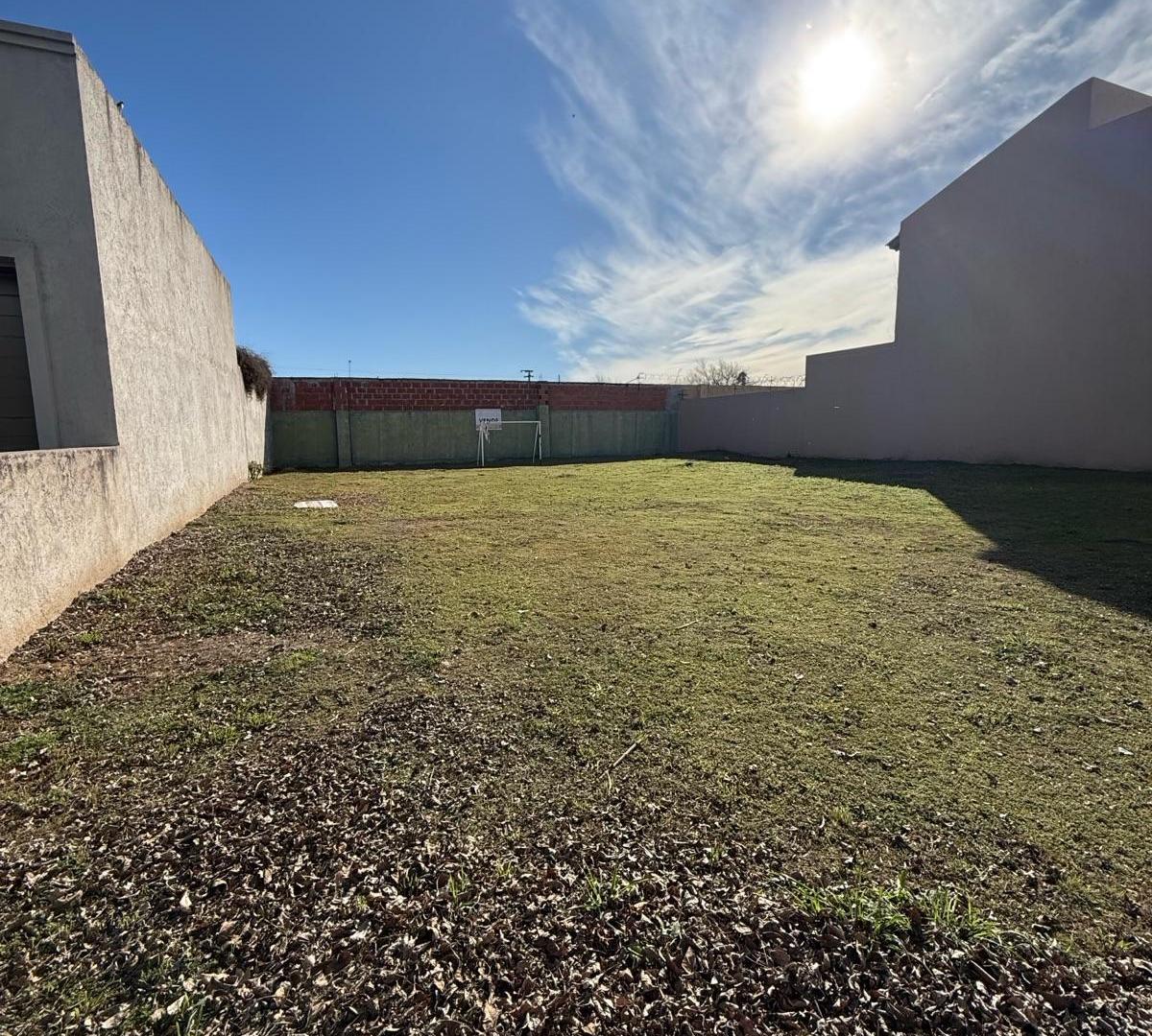 Foto de Terreno - Tejas del Sur, imagen 5