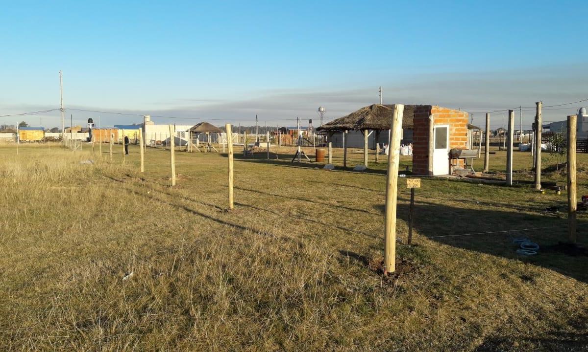 Terreno 10x38 - Domselaar