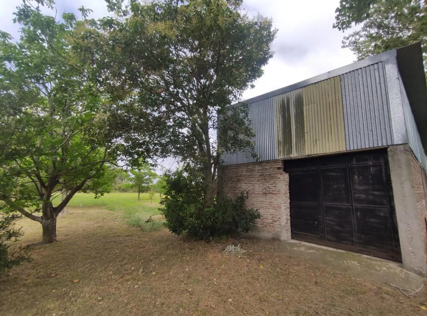 CHACRA EN VENTA ATALAYA DE 2 HECTAREAS CON ARBOLES 3