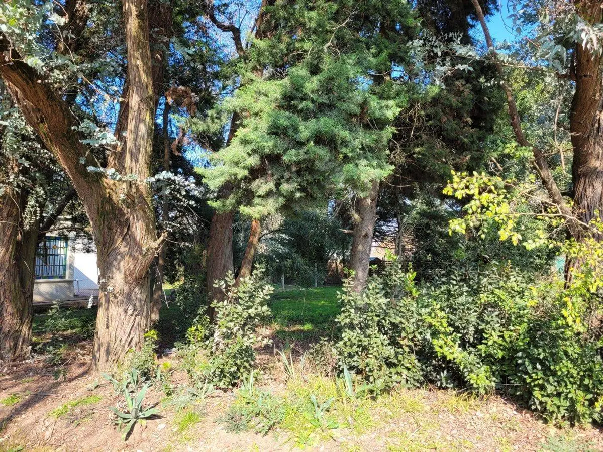 LOTE EN VENTA VILLA ELISA 4