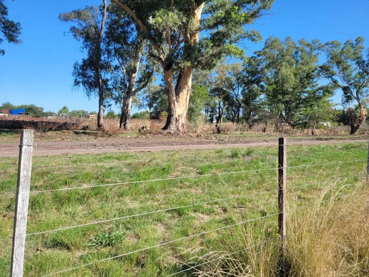 CAMPO EN VENTA LOS HORNOS HECTAREA Y 4000 M2 4