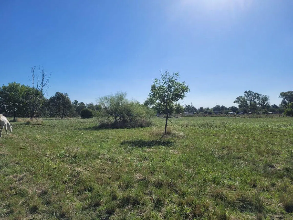 CAMPO EN VENTA LOS HORNOS HECTAREA Y 4000 M2 5