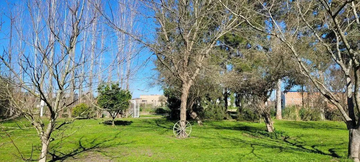 CASA EN VENTA BRANDSEN 2 AMBIENTES 3