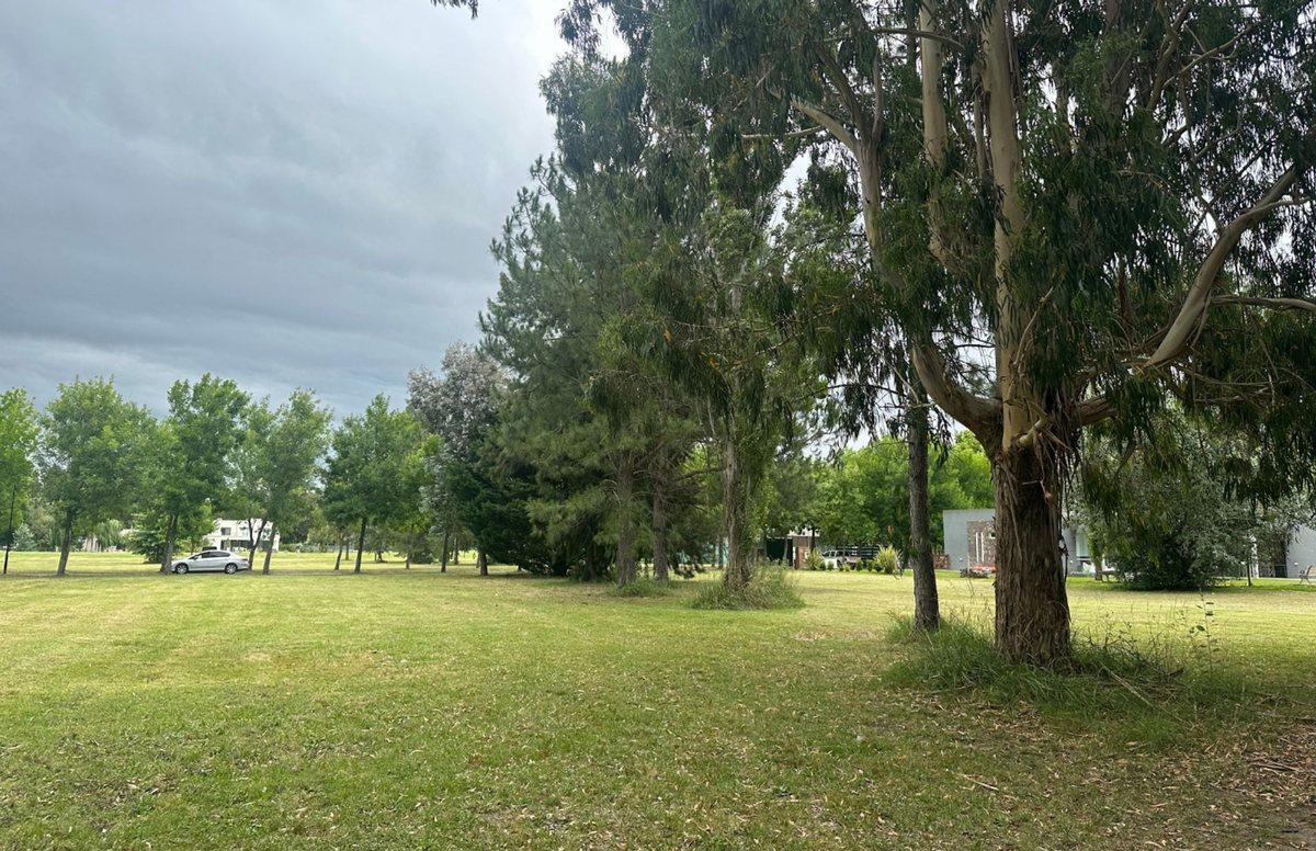 LOTE EN VENTA EN MIRALAGOS 1411 M2 ESCRITURADO