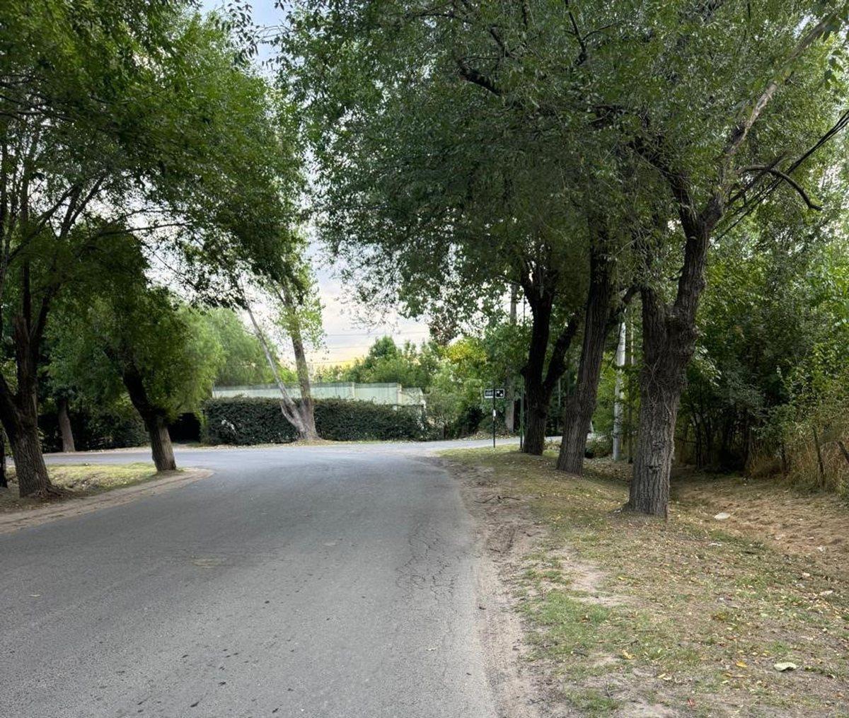 Lotes en Venta en Lisandro Olmos Etcheverry