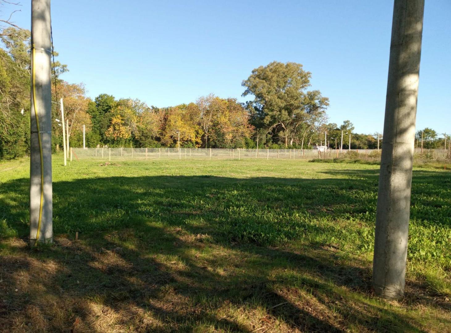 TERRENO EN VENTA ARTURO SEGUI PERMUTA