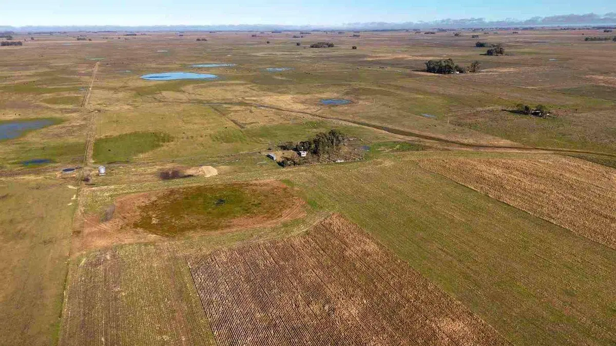 CAMPO EN VENTA  RAUCH 4