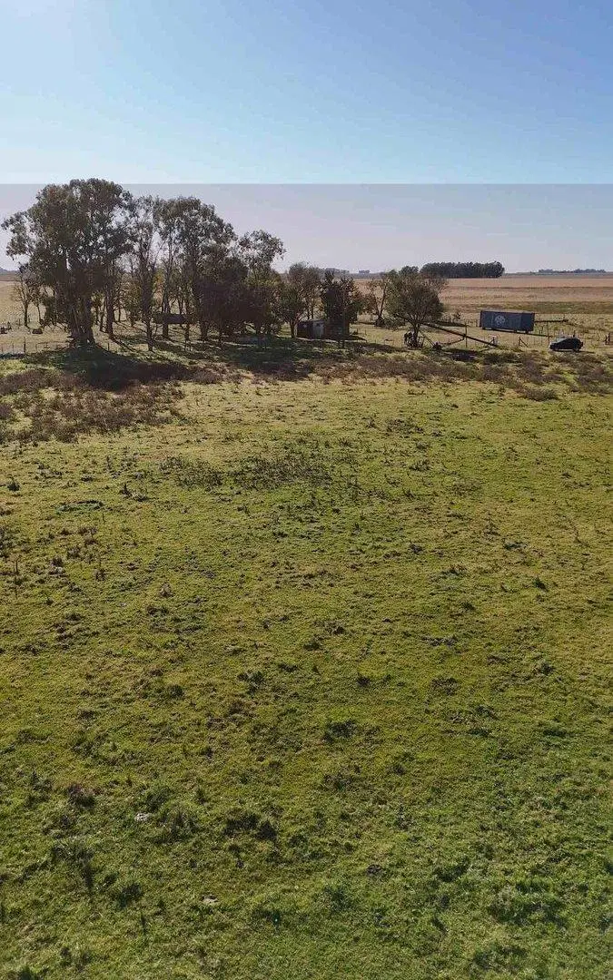 CAMPO EN VENTA  RAUCH 5