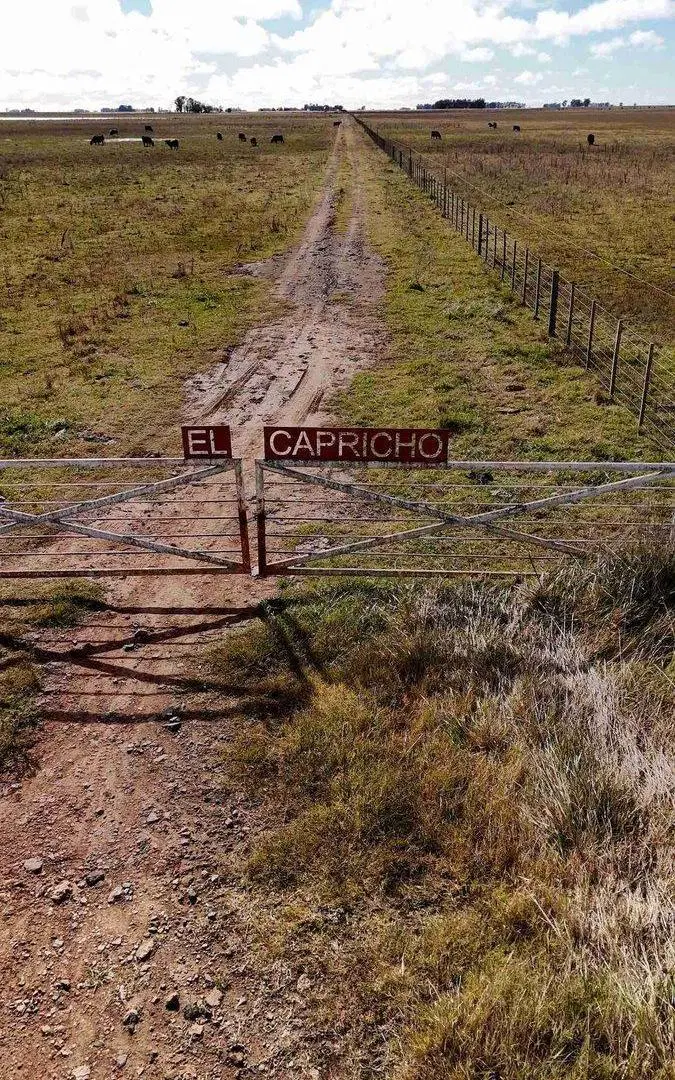 CAMPO EN VENTA  RAUCH 2