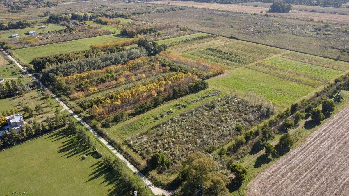CAMPO EN VENTA ARANA  DE 17,42 HECTÁREAS 2