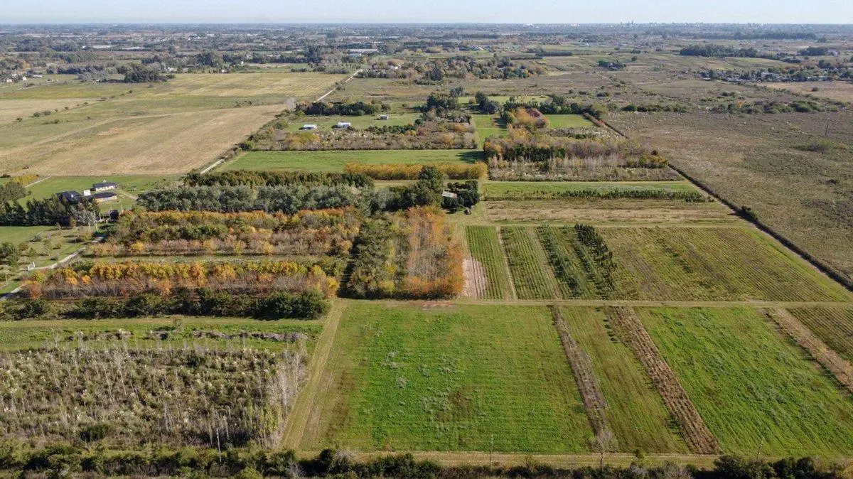 CAMPO EN VENTA ARANA  DE 17,42 HECTÁREAS 3