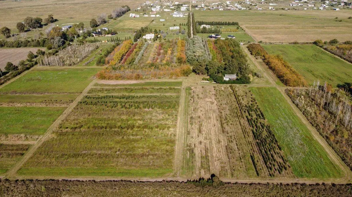 CAMPO EN VENTA ARANA  DE 17,42 HECTÁREAS 4