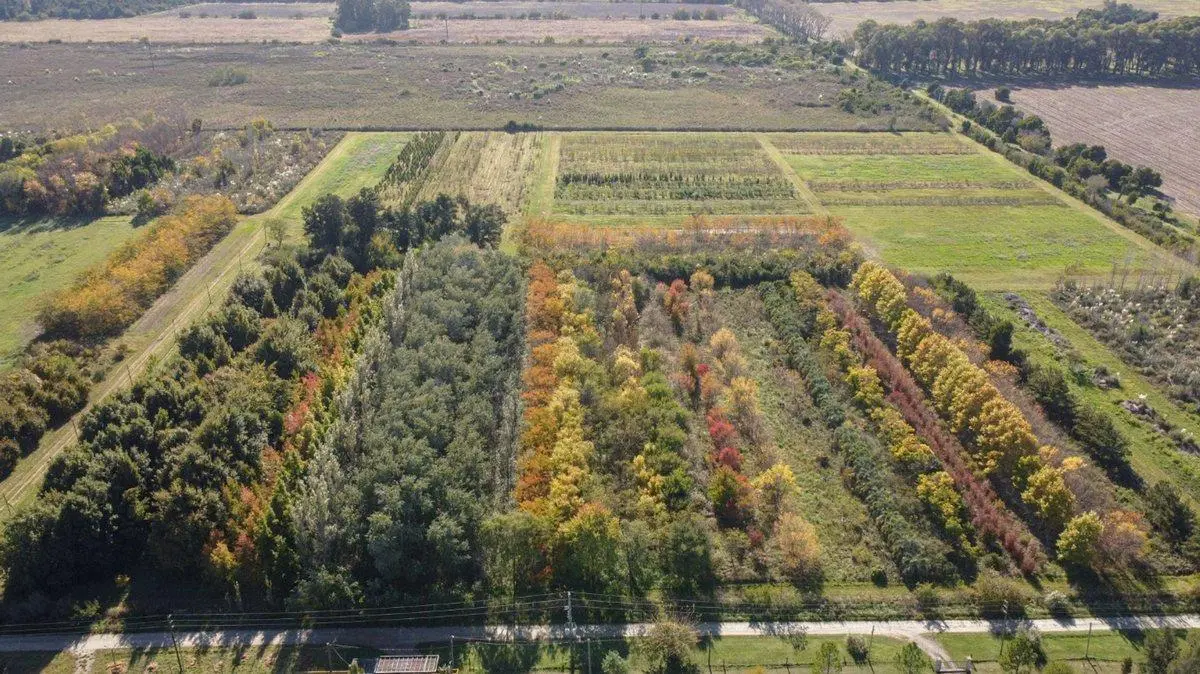 CAMPO EN VENTA ARANA  DE 17,42 HECTÁREAS 5