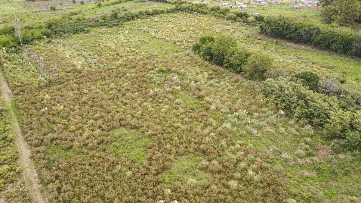 CAMPO EN VENTA ARANA DE 25,38 HA 8