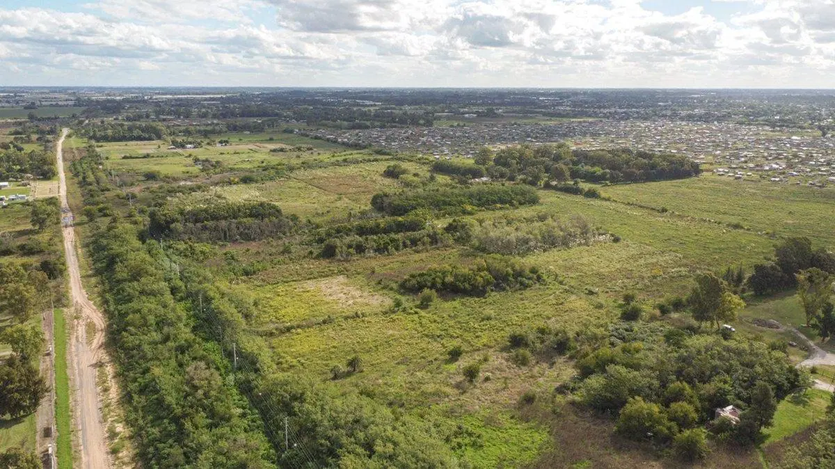 CAMPO EN VENTA ARANA DE 25,38 HA 5