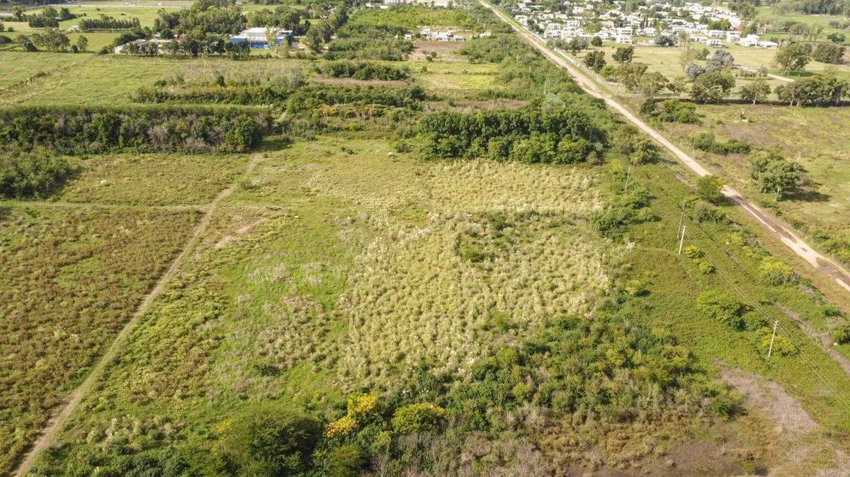 CAMPO EN VENTA ARANA DE 25,38 HA 2