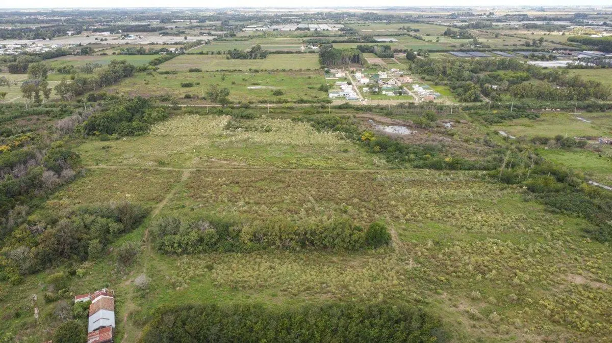 CAMPO EN VENTA ARANA DE 25,38 HA 4