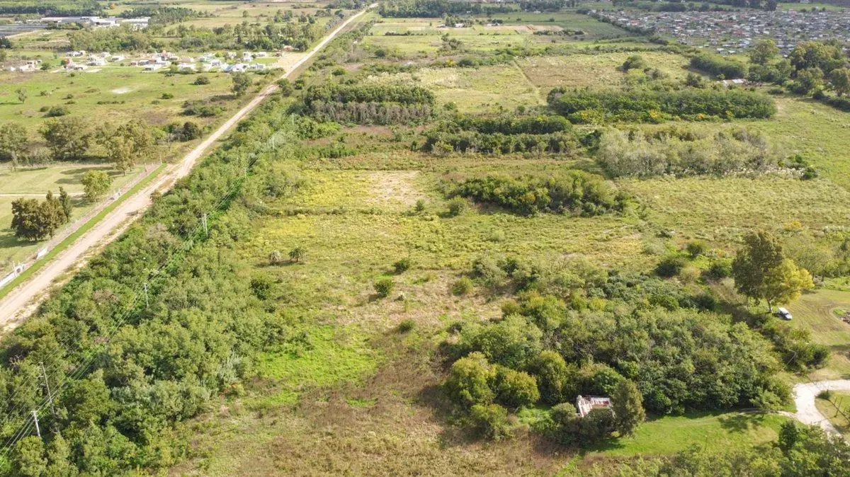CAMPO EN VENTA ARANA DE 25,38 HA 3