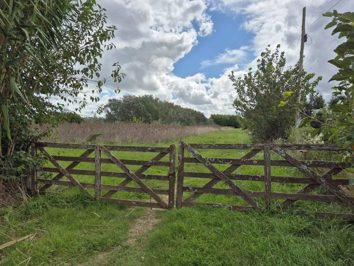 CAMPO EN VENTA ARANA DE 14,38 HECTÁREAS 2