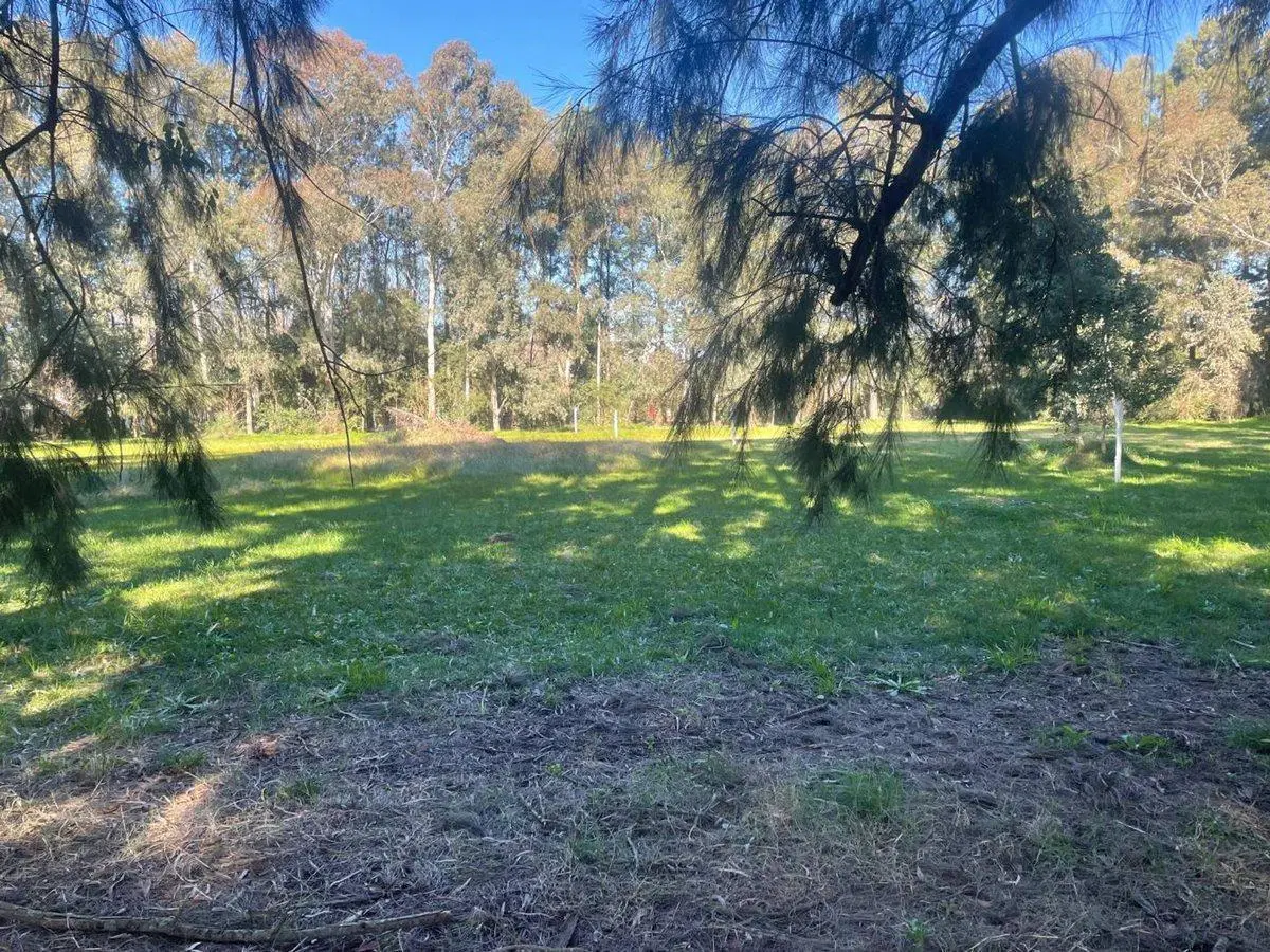 LOTE EN VENTA EN GOMEZ 5