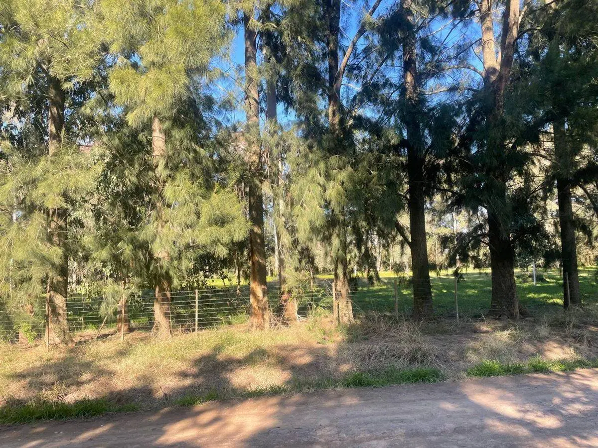 LOTE EN VENTA EN GOMEZ 8