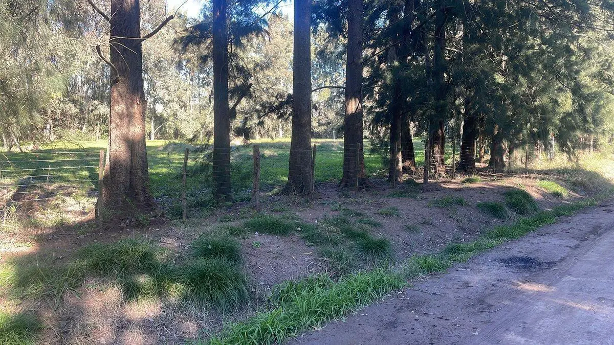LOTE EN VENTA EN GOMEZ 4
