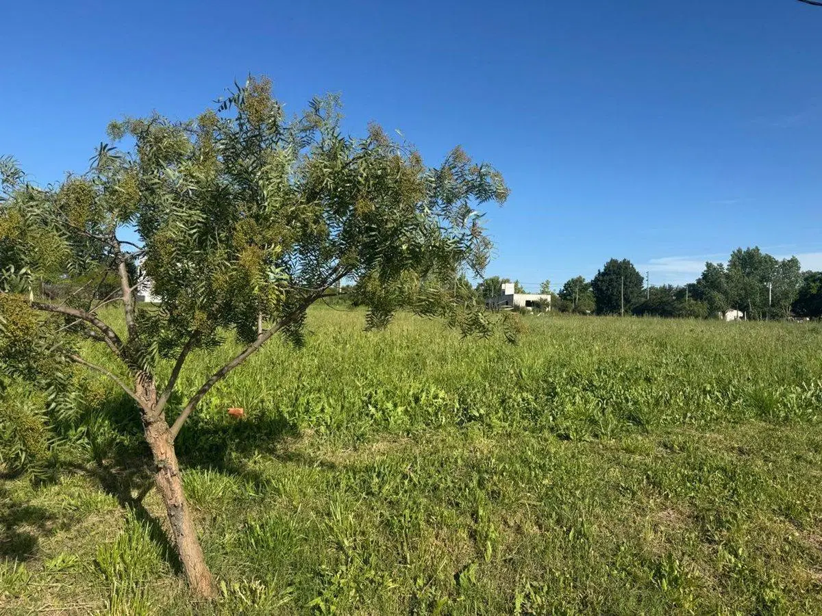 LOTE EN VENTA EN BARRIO LA FRANCISCA 2