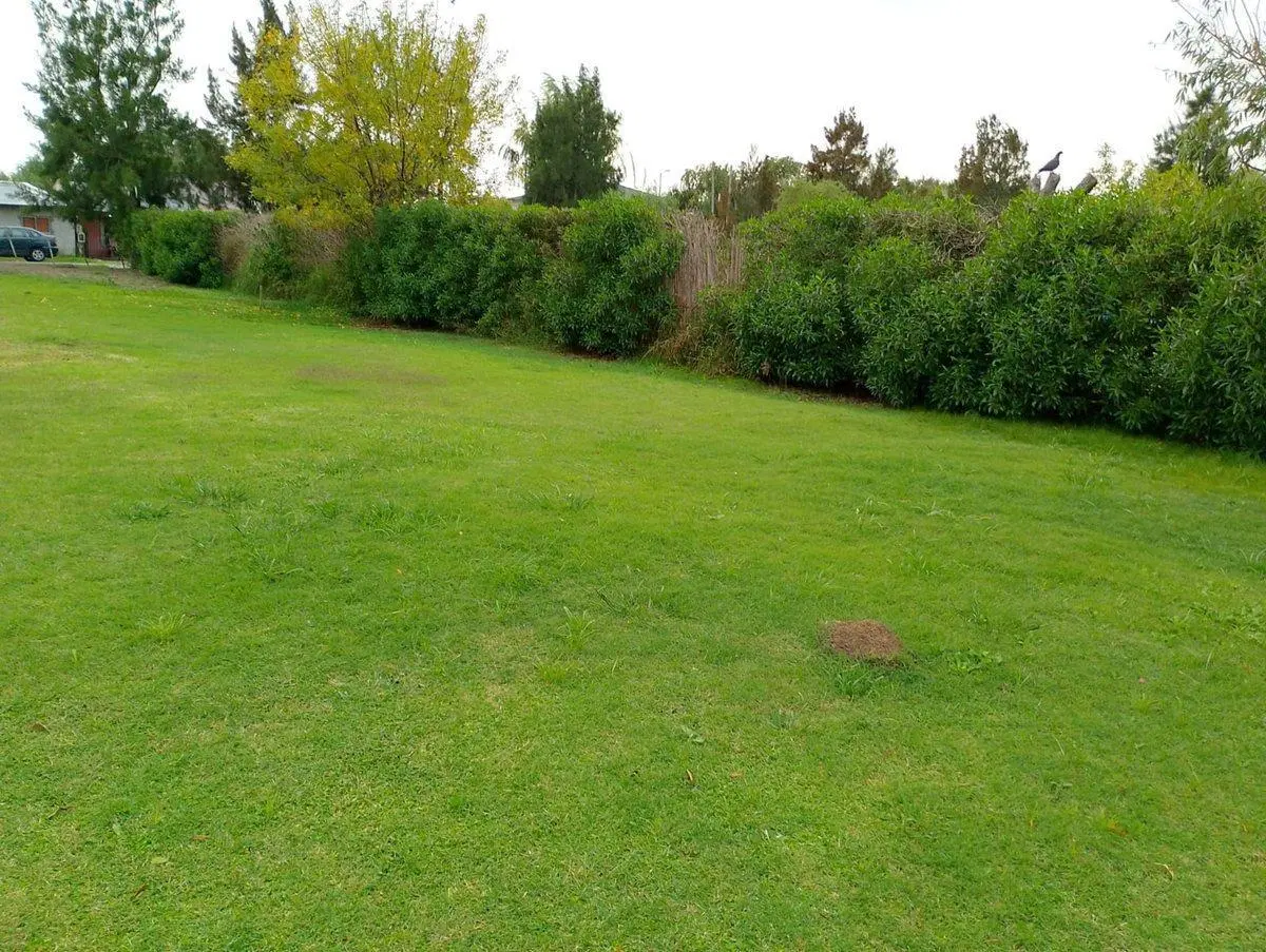 LOTE EN VENTA MAGDALENA PROVINCIA DE BS AS 3