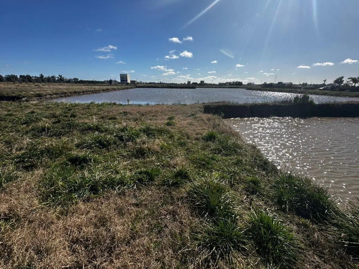 LOTE EN VENTA EN BARRIO CERRADO RUTA 2 KM 65 2