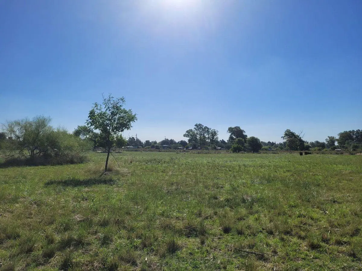 CAMPO EN VENTA LOS HORNOS HECTAREA Y 4000 M2 4