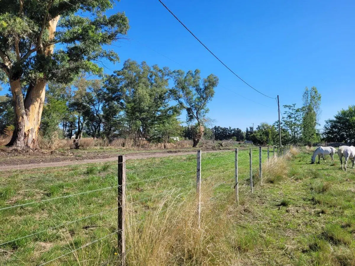 CAMPO EN VENTA LOS HORNOS HECTAREA Y 4000 M2 3